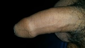 5 inch cock