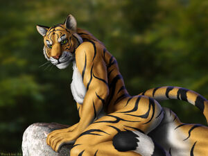 sexy tiger girl